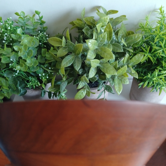 Vintage Wooden Bowls - Picture 7 of 10